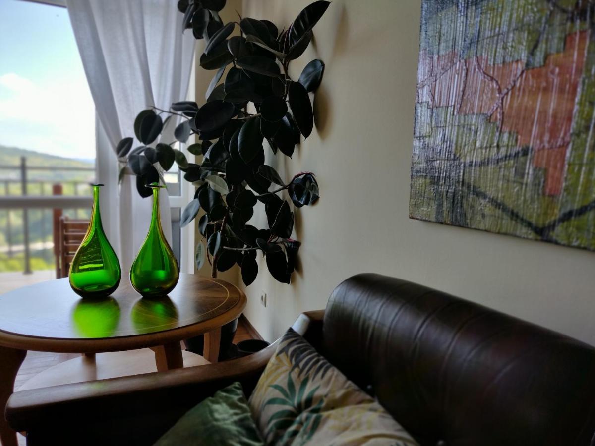 شقة Art Studio Turnovo فيليكو ترنوفو المظهر الخارجي الصورة